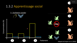 CoursCognition2026.mp4