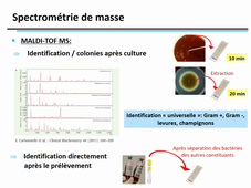 AP - Nouvelles techniques en microbiologie