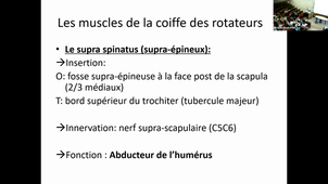DFGSM2 UE-Appareil locomoteur-CM4-Dr Lara Moscato--08092025