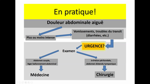 26/03/2021	08:00	10:00	Douleurs abdominales aigües. Pancréatite aigüe. Contusions et plaies de l'abdomen	B. AL TAWEEL	301	MIB