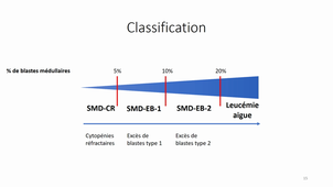 Pathologies malignes myeloides