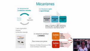 Concepts de neuro-développement et d'apprentissages - R. PRY, Professeur de Psychologie du Développement