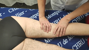 DU DLM Membres Inférieurs : Segm Minf Post.
