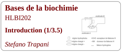 HLBI202_Intro_1 (pour Série 7)