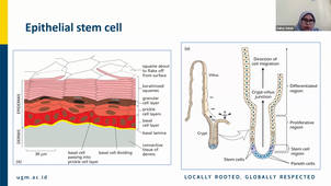 TU03 - DIFFERENCIATION - Saihas Suhda - 02-12-25.mp4