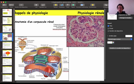 DUT Diet - Cours Physiopatho 04-11-2020a