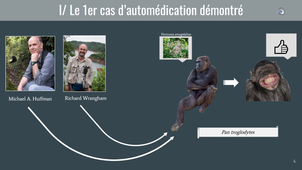 HLBE602 automédication