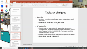 DR ALEDO REMILLET CAPA ACUP 2 Maladies neurologiques PARTIE 2.mp4