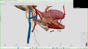 DFGSM2 UE : TÊTE ET COU - CM7 Cavité orale, langue - Pr.Captier - 26/02/2026