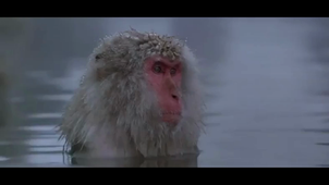 Epiic-2019_COF_1 Heliosquare.mp4