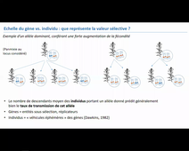 CM niveaux de selection partie 1