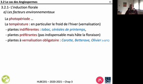 HLBE201-Chap 3-cours 8