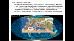 Hiven-CM9 Tertiaire 2021