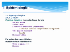 Partie_2_Trematodes_exemple_de_la_grande_douve_du_foie_BERTOUT
