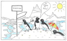 # La Science s’aMuse : De la migration des oiseaux marins aux mouvements de la Terre