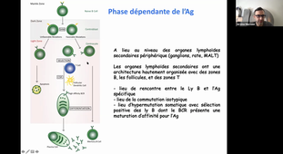 UE Immunopathologie HMBS207 17/03/2021 14h-16h UPM3