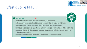 Nicolas Bonnet et Marianne Hochet (RESPADD)- Soignants identifiés pour leurs bonnes pratiques .mp4