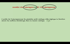 Les oligosaccharides HAV201V