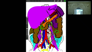 06/02/2023	08h00	09h00	Appareil rénal et voies urinaires - CM4	Dr Duraes	Amphi Anatomie	DFGSM2