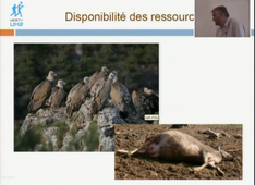 Journée Thématique du CEFE sur le lien entre chercheurs et  gestionnaires de la nature.