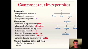 Les fichiers