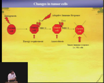 Echappement immunitaire pendant la tumorigenèse : sa reversibilité et ses applications cliniques