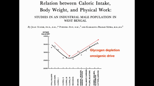 Cours 8 Effets métaboliques.mp4