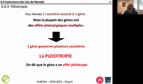 HLBE201-Chap 6-cours 15