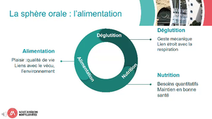 CM2532_MACKE_D_Alimentation intro.mp4