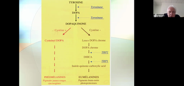 22/03/2021	14:00	16:00	DFGSM3 : Revêtement cutané : Physiologie de la cicatrisation  / Maladies bulleuses (CM11/12)	Olivier DEREURE	Amphi Rabelais	DFGSM3