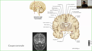 DFGSM2-Appareil Neuro-CM12-De Oliveira.mp4