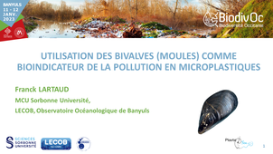 Franck LARTAUD - Microplastiques / Bioindicateurs (bivalves-moules)