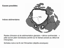 Séance 3 paléontologie chapitre 2 suite (extinctions)