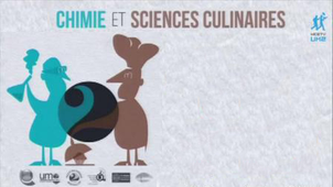 Quiz Chimie 2012 : conférence de Hervé This 'Chimie et Sciences culinaires'