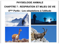 LICENCE DE BIOLOGIE Cours de Physiologie animale CHAPITRE 7 : RESPIRATION ET MILIEU DE VIE 6ème Partie : Les adaptations à l’altitude