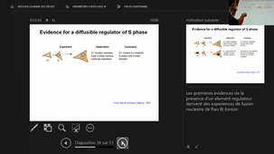 Cours du 011020 - Réplication 2