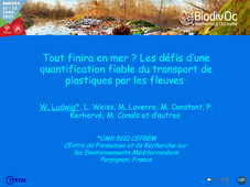 Wolfgang LUDWIG - Les plastiques dans les fleuves