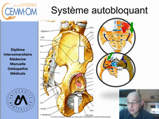Sacro iliacaca biomecanique Dumay