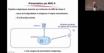 15-02-2021-DFGSM2-P- Corbeau-TS Immuno CM 5 et 8