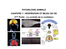 LICENCE DE BIOLOGIE Cours de Physiologie animale CHAPITRE 7 : RESPIRATION ET MILIEU DE VIE 3ème Partie : Le contrôle de la ventilation