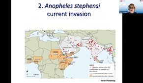 TU15- Invasive mosquito species & emerging diseases - Pr S. MANGUIN - 05-03-2026.mp4