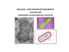 BIOLOGIE - EXPLOITATION DE DOCUMENTS :  Organisation fonctionnelle de la cellule - 9ème Partie 'Origine évolutive de la mitochondrie'