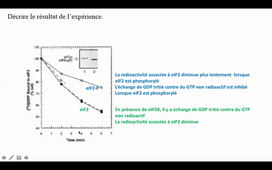 TD regulation de la traduction et regulation de l'expression des histones HLBI504