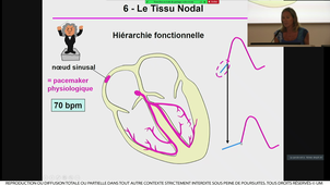 S1UE4_ECUE4_1_SCHUSTER_21092021
