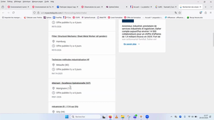 Wébinaire La carrière des diplômés décryptage des emplois après l’UM