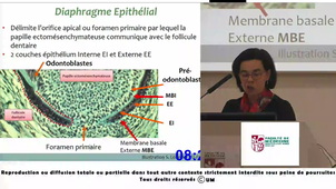 UE9_MOULIS_20250318.m4v