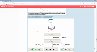 (06/11/2020) ED6 UE3 14h-16h 209 RAMIREZ