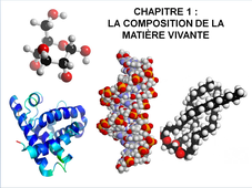 DAEU B - Cours de Biologie - Chapitre 1 - Composition de la matière vivante