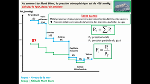 ED	211	E. Passerieux