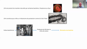 Les injectables - les bases théoriques -M. COUCHOUREL